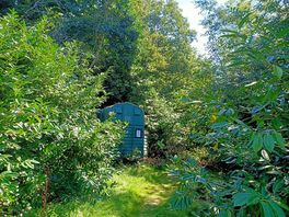 The loo!