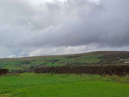 Site view