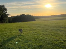 Gorgeous views!