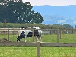Local residents
