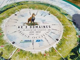Walking compass