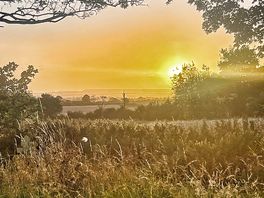 Early morning sun, taken from the swing at the back of the recreation field
