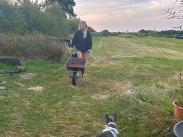 Dog friendly