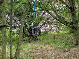 We made a swing in the woods