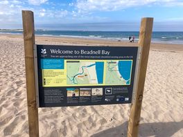 The beach