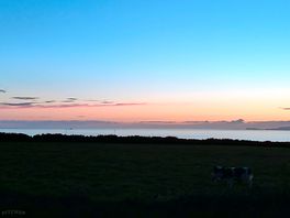 View over hedge.