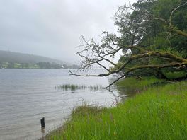 View of the lake from the little beach