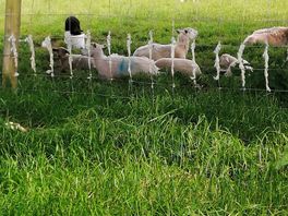 Hello neighbours