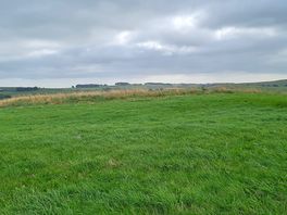 Top field, great for kite flying