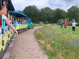 Eine schöne zugfahrt durch den park