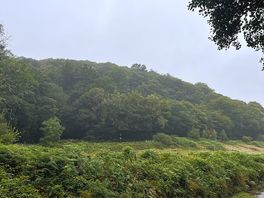 Scenery