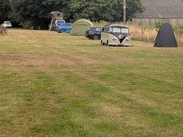 View down the field