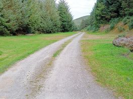 Pitches in a quiet rural setting