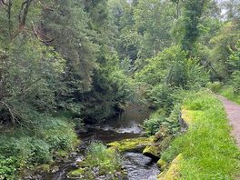 River walk into haltwhistle