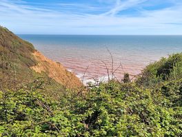 Very muddy walk but the beach and view were worth it