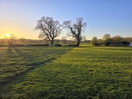 The view across from site
