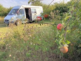 Some more private pitches separated by apple trees