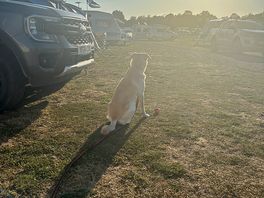 Sunny hot day round campsite