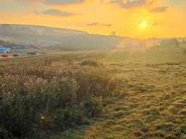 Dawn view of the misty campsite