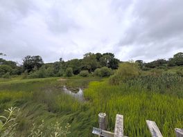 Ponds along the lovely nature walk and then on to lamphey village and bishops palace