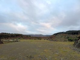 Walk around the estate