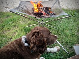 Dog friendly