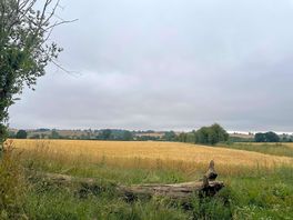 View from pitch