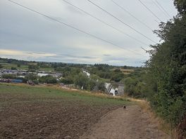 Field overlooking canal at the back of the second field