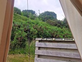 From my tent