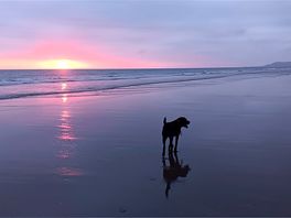 Borth beach sunset walk back to ty gwern campsite. 😊