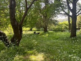 Our pitch