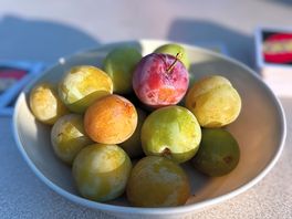 Fresh homegrown fruit from the owner