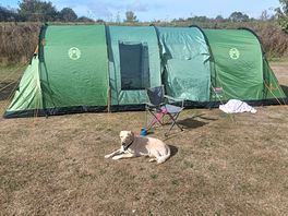 Spacious pitches