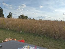 The view from our tent