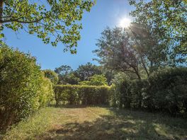 Hedges around pitches for privacy