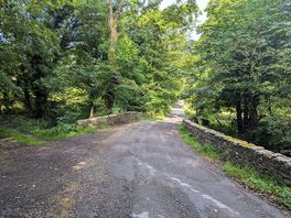 A walk down the lane.