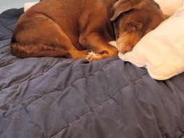 Tired choc