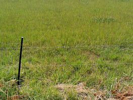 The view from the site