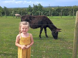 Kids loved the animals