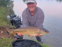 12lbs