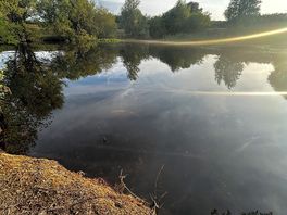 Koi lake