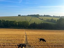 Nearby walk