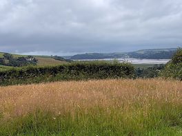 View from the tent