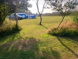 Clean grasses area