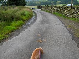 A walk back from the toilet block