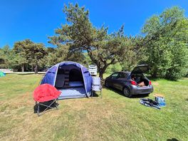 Our pitch