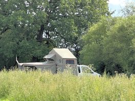 Glamping with the vw