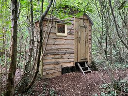 Bluebell shepherd's hut