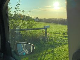 Lovely morning view