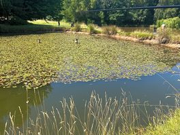Fishing pool